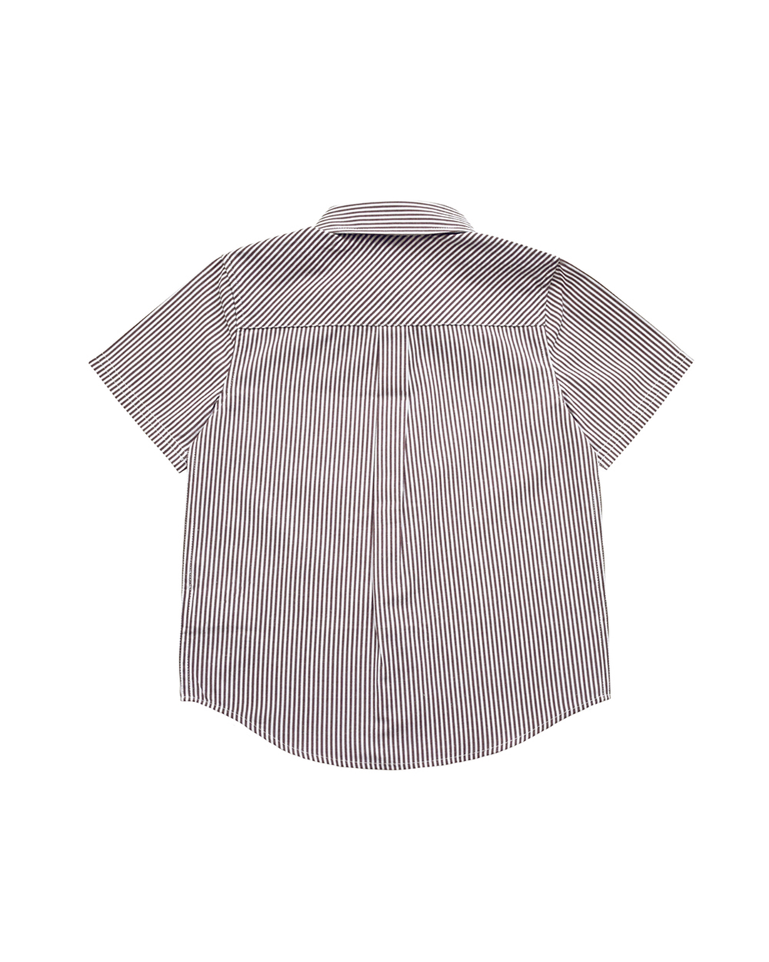 Camisa manga corta, de rayas blancas y berenjena