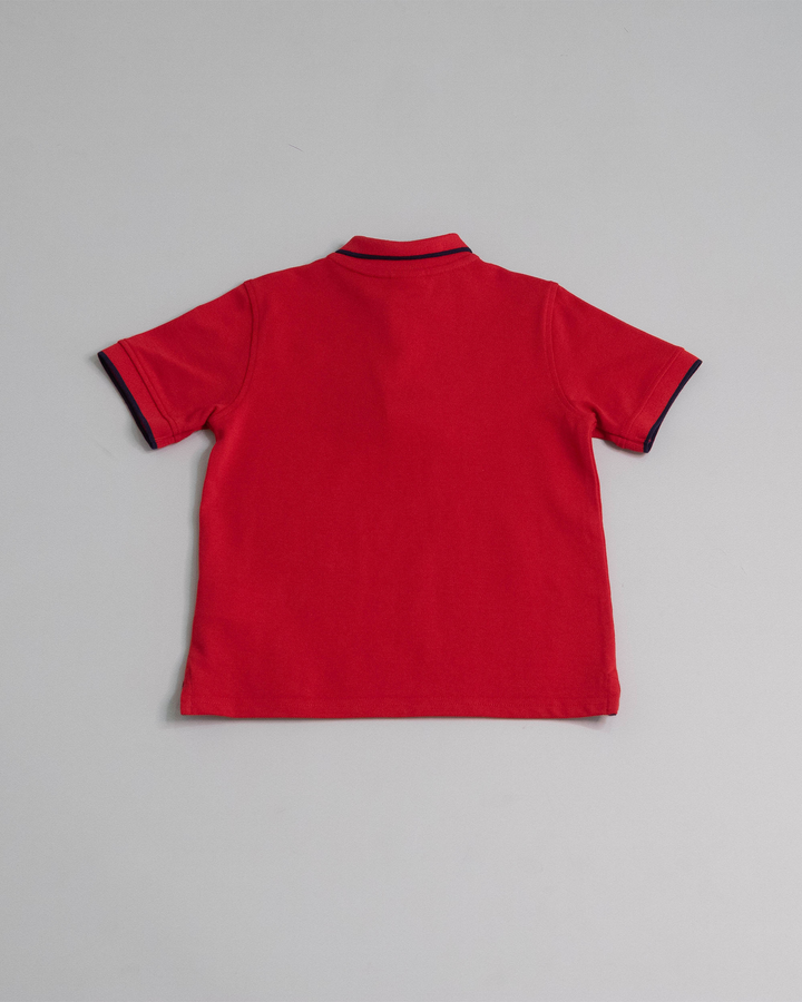 Chemise con gráfico bordado
