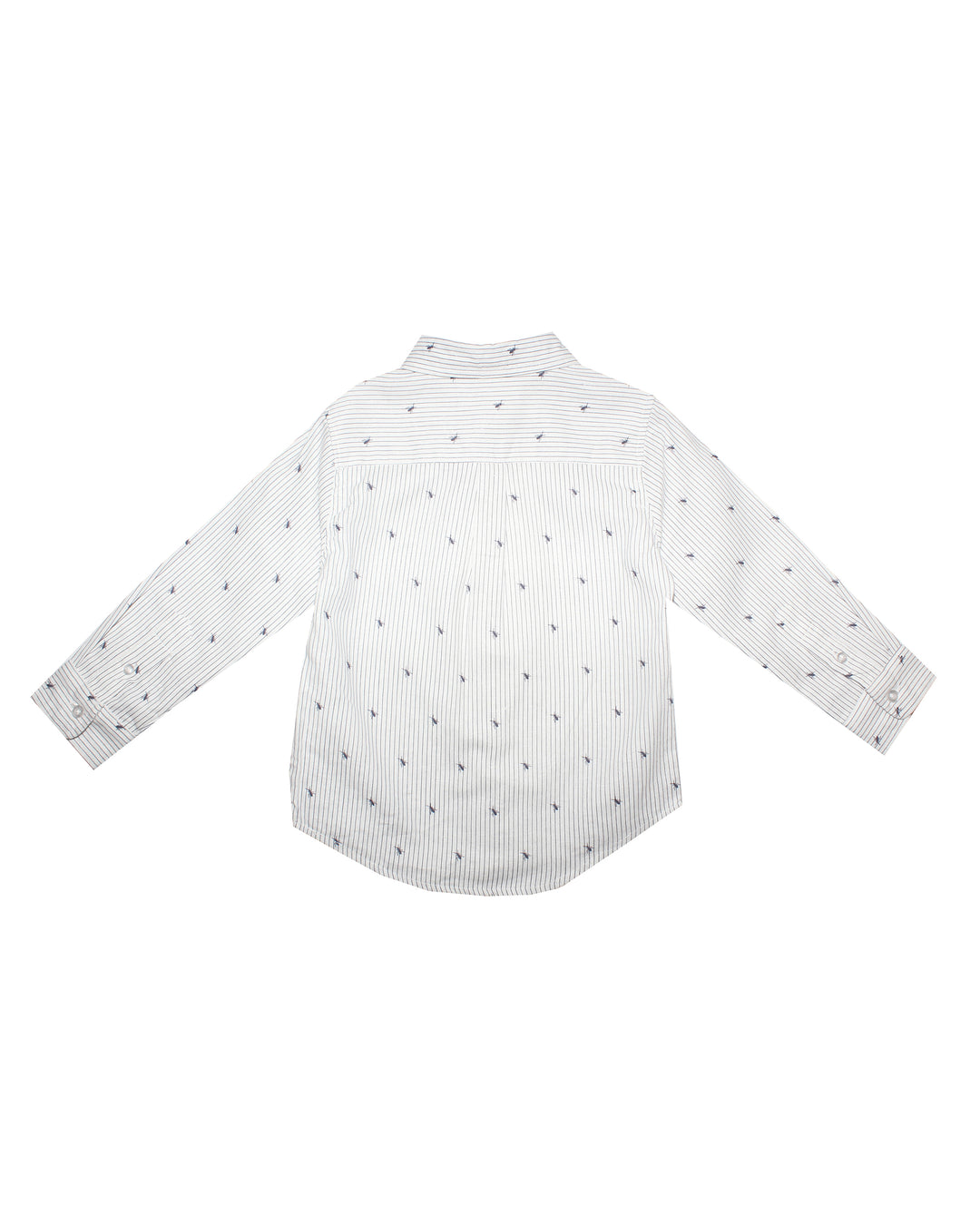 Camisa