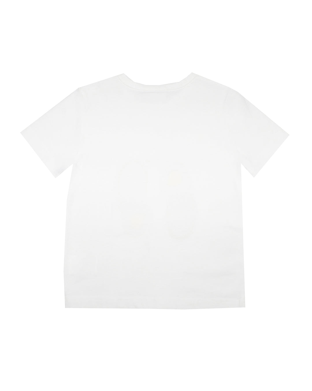 Franela/T-shirt