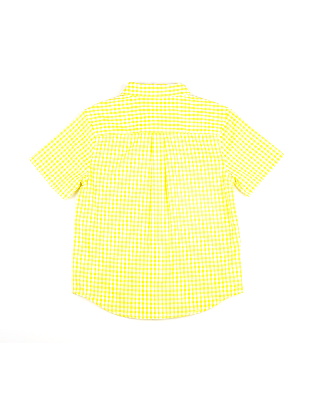 Camisa