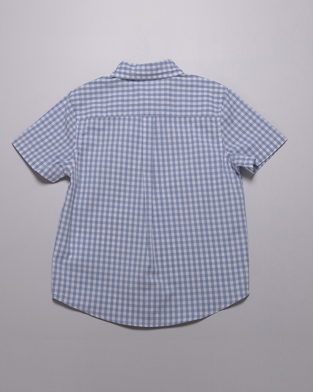 Camisa de vichy azul